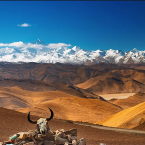 Earth’s shifting, signs of Tibet being torn in half emerge