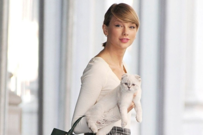 Experts urge fans not to emulate Taylor Swift in raising floppy-eared cats