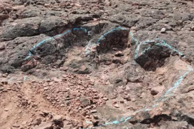 Discovery of dinosaur fossil footprints dating back approximately 120 million years